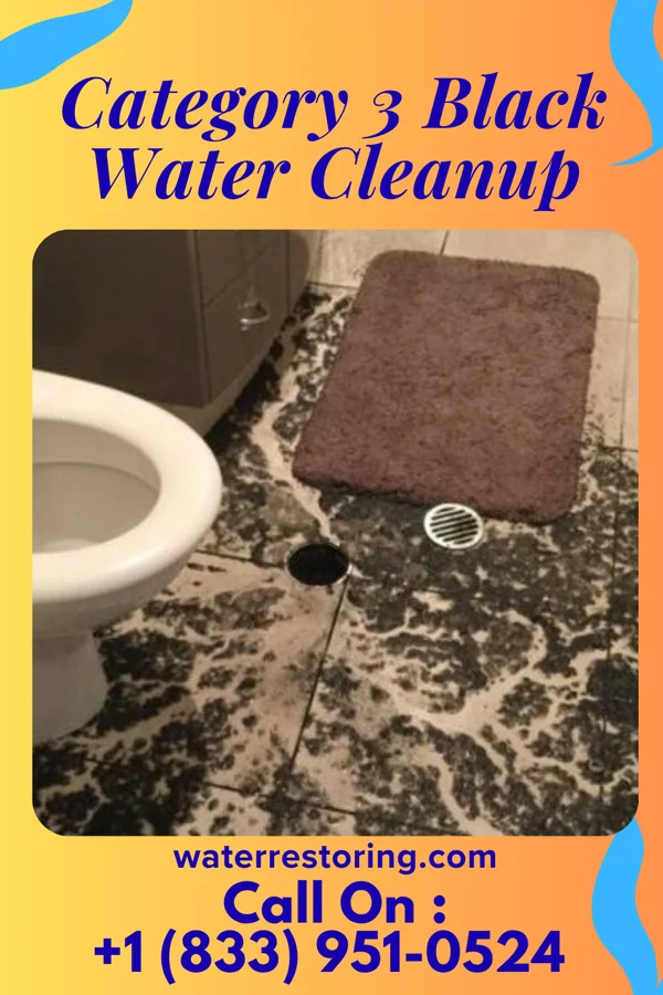 Category 3 Black Water Cleanup in Tobias, NE