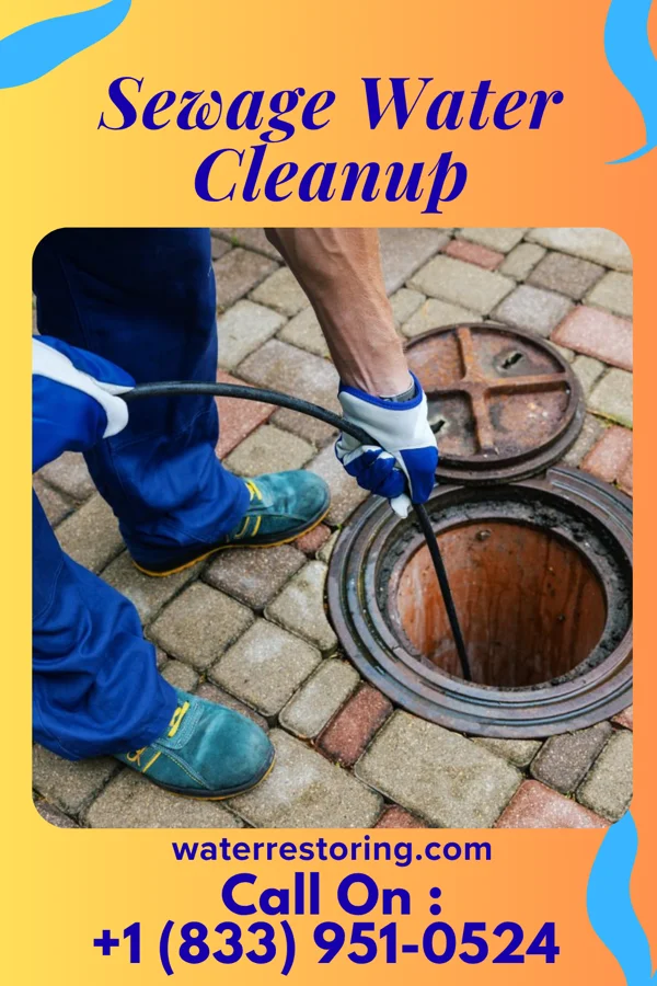 Sewage Water Cleanup in Tobias, NE
